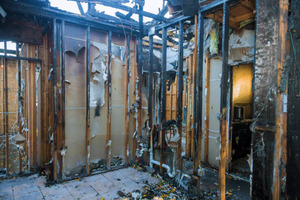 Professional Odor Removal technician working in Villanova, PA