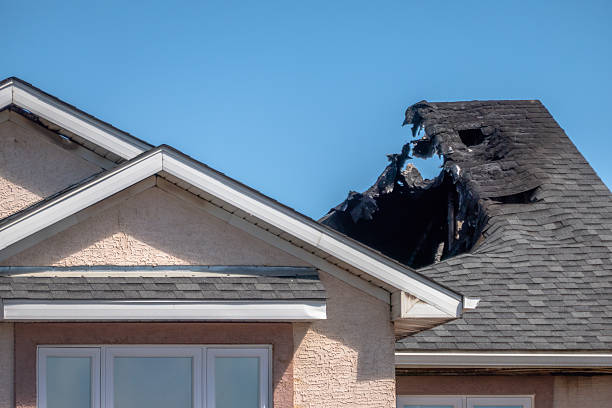 Top rated local Odor Removal specialists in Villanova, PA